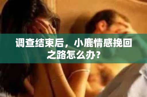 调查结束后，小鹿情感挽回之路怎么办？