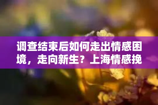 调查结束后如何走出情感困境,走向新生?上海情感挽回婚姻公司给出的专业建议 调查结束后如何走出情感困境,走向新生?上海情感挽回婚姻公司给出的专业建议