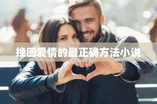 挽回爱情的最正确方法小说