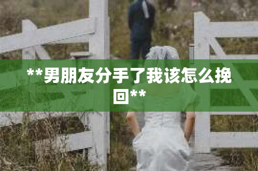 **男朋友分手了我该怎么挽回**