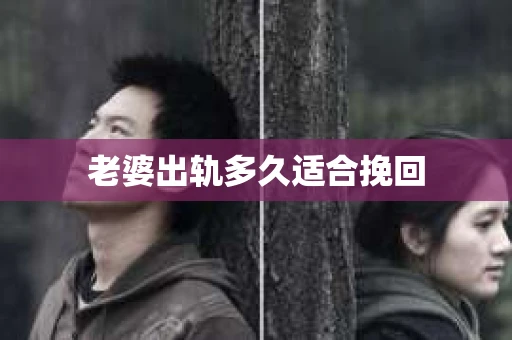 老婆出轨多久适合挽回