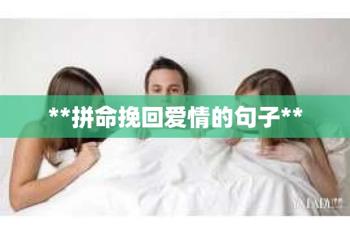 **拼命挽回爱情的句子**