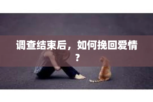 调查结束后，如何挽回爱情？