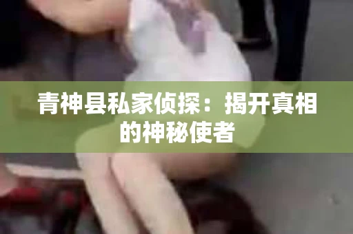 青神县私家侦探：揭开真相的神秘使者