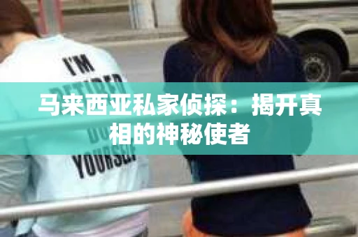 马来西亚私家侦探：揭开真相的神秘使者
