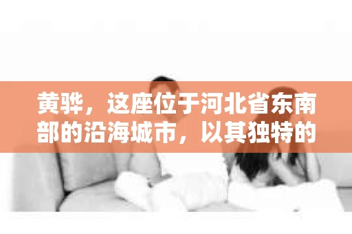 黄骅，这座位于河北省东南部的沿海城市，以其独特的地理位置和丰富的历史文化而闻名。然而，在这座城市中，还有一群人，他们以另一种方式默默守护着社会的公平与正义——私家侦探。今天，我们就来聊聊黄骅的私家侦探，看看他们是如何在这个城市中发挥作用的。