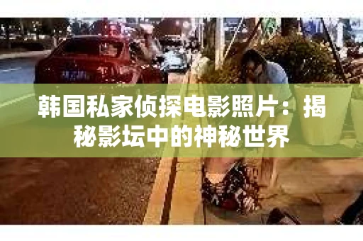 韩国私家侦探电影照片：揭秘影坛中的神秘世界