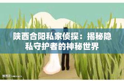 陕西合阳私家侦探：揭秘隐私守护者的神秘世界