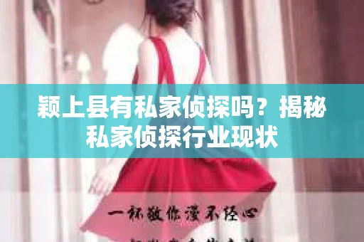 颖上县有私家侦探吗？揭秘私家侦探行业现状