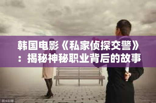 韩国电影《私家侦探交警》：揭秘神秘职业背后的故事
