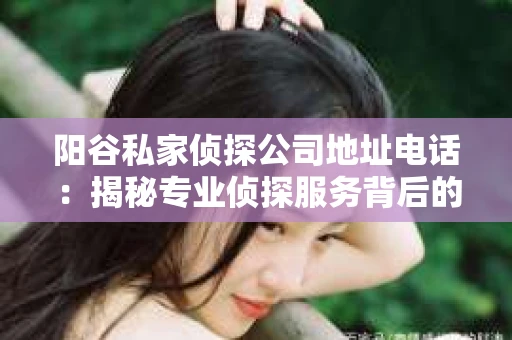 阳谷私家侦探公司地址电话：揭秘专业侦探服务背后的故事