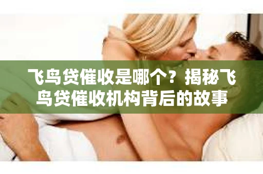 飞鸟贷催收是哪个？揭秘飞鸟贷催收机构背后的故事