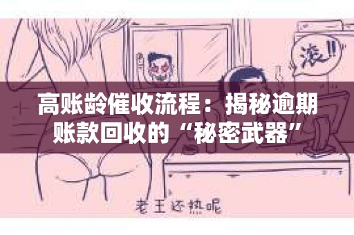 高账龄催收流程:揭秘逾期账款回收的“秘密武器” 高账龄催收流程:揭秘逾期账款回收的“秘密武器”