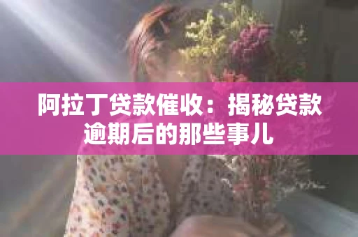 阿拉丁贷款催收：揭秘贷款逾期后的那些事儿