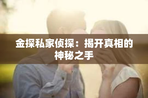 金探私家侦探：揭开真相的神秘之手