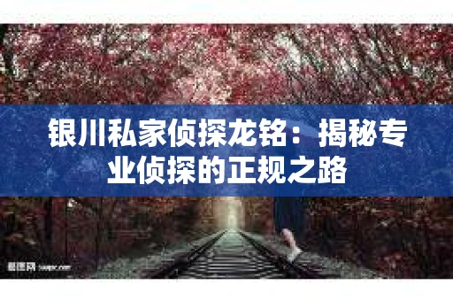 银川私家侦探龙铭：揭秘专业侦探的正规之路