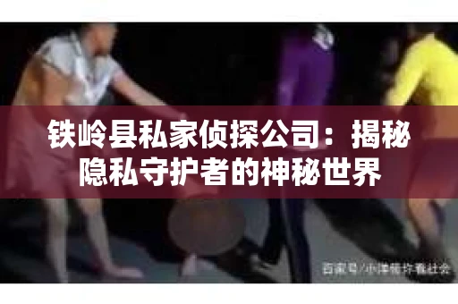 铁岭县私家侦探公司：揭秘隐私守护者的神秘世界