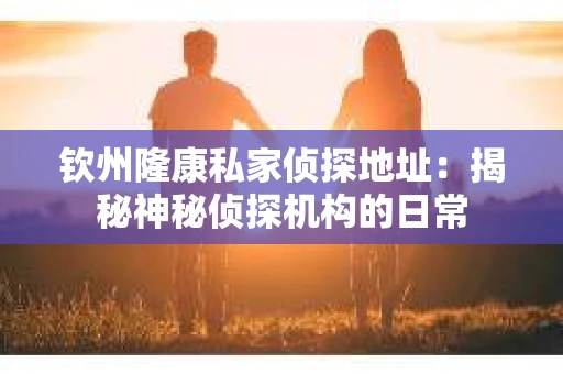 钦州隆康私家侦探地址：揭秘神秘侦探机构的日常