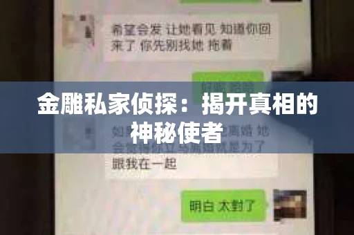 金雕私家侦探：揭开真相的神秘使者