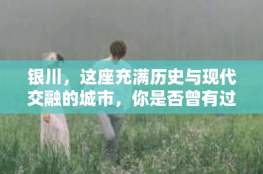 银川，这座充满历史与现代交融的城市，你是否曾有过这样的疑问：银川有私家侦探公司吗？今天，就让我带你一起揭开这个谜团。