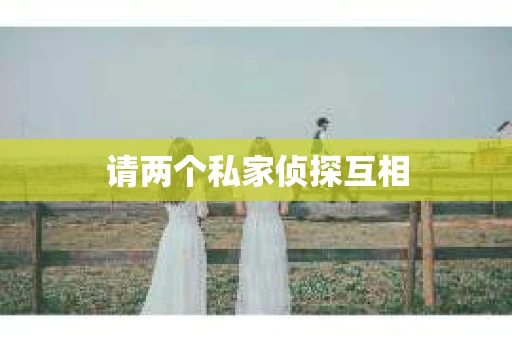 请两个私家侦探互相