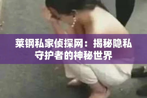 莱钢私家侦探网：揭秘隐私守护者的神秘世界