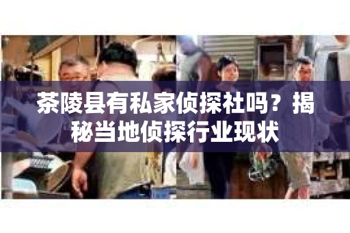 茶陵县有私家侦探社吗？揭秘当地侦探行业现状