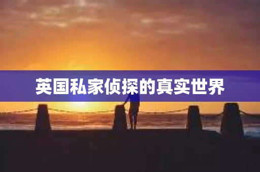 英国私家侦探的真实世界
