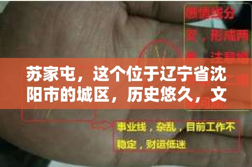 苏家屯，这个位于辽宁省沈阳市的城区，历史悠久，文化底蕴深厚。近年来，随着社会的发展，人们对于私家侦探的需求也逐渐增加。那么，苏家屯有私家侦探吗？今天，我们就来聊聊这个话题。