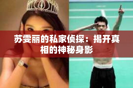 苏雯丽的私家侦探：揭开真相的神秘身影