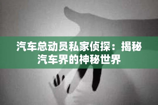汽车总动员私家侦探：揭秘汽车界的神秘世界