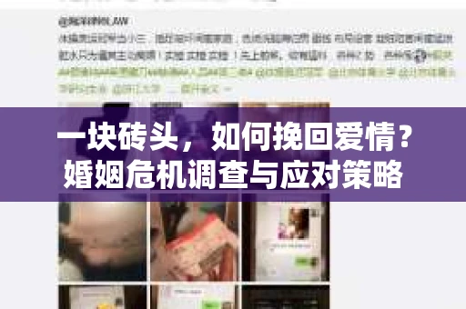 一块砖头，如何挽回爱情？婚姻危机调查与应对策略