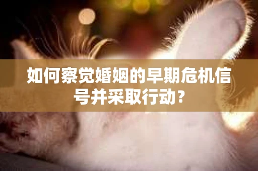 如何察觉婚姻的早期危机信号并采取行动? 如何察觉婚姻的早期危机信号并采取行动?