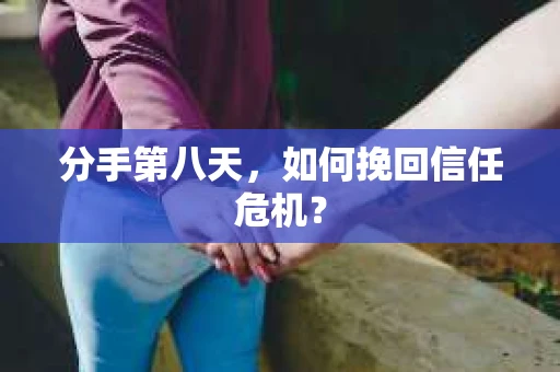 分手第八天，如何挽回信任危机？