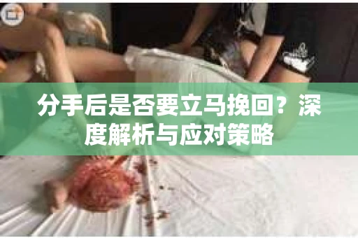 分手后是否要立马挽回？深度解析与应对策略