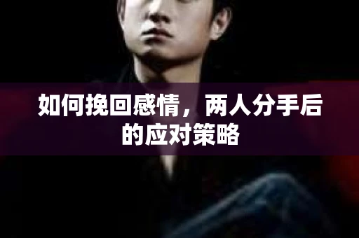 如何挽回感情,两人分手后的应对策略 如何挽回感情,两人分手后的应对策略