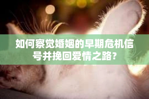 如何察觉婚姻的早期危机信号并挽回爱情之路？