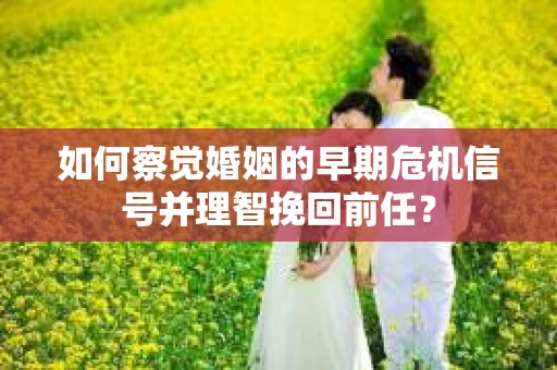 如何察觉婚姻的早期危机信号并理智挽回前任？