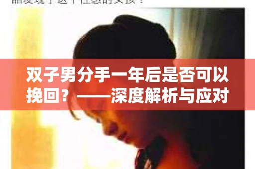 双子男分手一年后是否可以挽回？——深度解析与应对策略